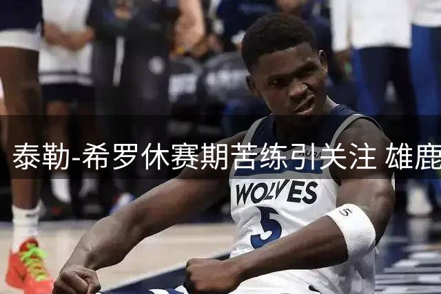 泰勒-希罗休赛期苦练引关注 雄鹿官方点赞热火射手训练视频