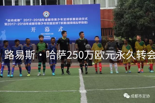 路易斯·哈萨250万欧元永久转会弗罗西诺内